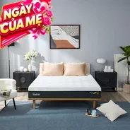 (Phiên bản giới hạn) Nệm Foam Tempur Pro Plus Medium Firm tương thích toàn diện dày 25cm