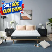 (Phiên bản giới hạn) Nệm Foam Tempur Pro Plus Medium Firm tương thích toàn diện dày 25cm