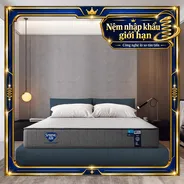 Nệm lò xo Spring Air Back Supporter Firm hỗ trợ nâng đỡ dày 25cm