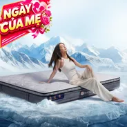 Nệm lò xo túi độc lập Amando Elite Plus ngủ mát, êm sâu dày 25cm