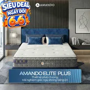 Nệm lò xo túi độc lập Amando Elite Plus ngủ mát, êm sâu dày 25cm