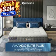 Nệm lò xo túi độc lập Amando Elite Plus ngủ mát, êm sâu dày 25cm