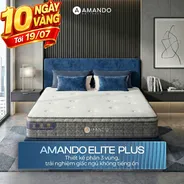 Nệm lò xo túi độc lập Amando Elite Plus ngủ mát, êm sâu dày 25cm