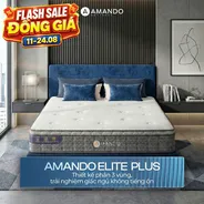 Nệm lò xo túi độc lập Amando Elite Plus ngủ mát, êm sâu dày 25cm
