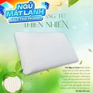 Gối Cao su Dreamland Ovan