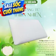Gối Cao su Dreamland Ovan