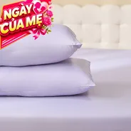 Vỏ gối tencel cao cấp Goodnight Airsilk