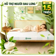 Nệm Gummi Signature – Công nghệ kép, nâng đỡ vượt trội, kháng khuẩn tối đa