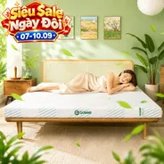 Nệm Gummi Signature – Công nghệ kép, nâng đỡ vượt trội, kháng khuẩn tối đa