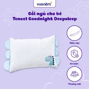 Gối bông trẻ em Goodnight Deepsleep Khủng Long TC001