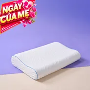 Gối foam công thái học cao cấp Goodnight Nori 2.0