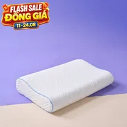 Gối foam công thái học cao cấp Goodnight Nori 2.0