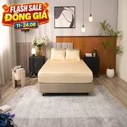 Bộ ga chun Goodnight Signature