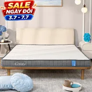 Nệm foam iComfy Basic 2.0 giá tiết kiệm