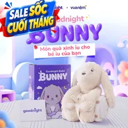 Bộ chăn thú bông Goodnight Bebé Bunny