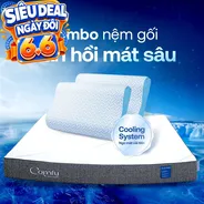 Combo Đàn Hồi Thoáng Khí: 1 đệm Cloud 2.0 + 2 gối Nami