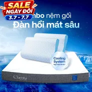 Combo Đàn Hồi Thoáng Khí: 1 đệm Cloud 2.0 + 2 gối Nami
