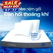 Combo Đàn Hồi Thoáng Khí 2: 1 đệm Cloud 2.0 + 2 gối Sofy Air