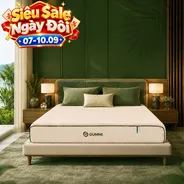 Nệm cao su cân bằng nhiệt 3in1 Gummi Hybrid Plus
