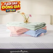 Chăn Goodnight Snow Silk Elite