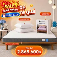 Combo rẻ quá 2: Đệm Foam iComfy Basic 1.0 kèm ga gối