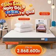 Combo rẻ quá 2: Đệm Foam iComfy Basic 1.0 kèm ga gối