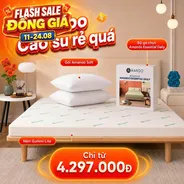 Combo Cao su siêu tiết kiệm: Đệm Cao Su Foam Gummi Lite kèm ga gối