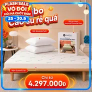 Combo Cao su siêu tiết kiệm: Đệm Cao Su Foam Gummi Lite kèm ga gối