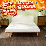 Nệm cao su đa tầng Gummi Lite giá tốt dày 10cm