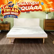 Nệm cao su đa tầng Gummi Lite giá tốt dày 10cm