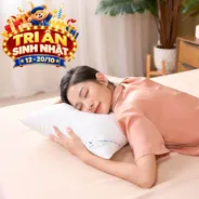 Gối lông vũ nhân tạo Goodnight Mochi siêu êm chuẩn khách sạn 5 sao