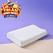 Gối foam công thái học cao cấp Goodnight Nori 2.0