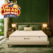 Nệm cao su cân bằng nhiệt 3in1 Gummi Hybrid Plus
