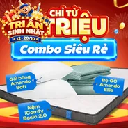 Combo Siêu Rẻ 1: Nệm Foam iComfy Basic 2.0 Kèm Ga + 2 Gối