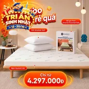 Combo Cao Su Siêu Tiết Kiệm: Nệm Gummi Lite + Ga + 2 Gối