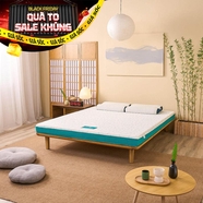 Nệm foam Nhật Bản Aeroflow Standard nâng đỡ cơ thể dày 12cm