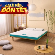 Nệm foam Nhật Bản Aeroflow Standard nâng đỡ cơ thể dày 12cm