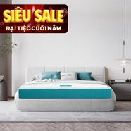 Nệm foam Nhật Bản Aeroflow Fit Plus kháng khuẩn dày 20cm