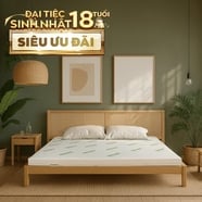 Nệm cao su thiên nhiên Gummi Classic thế hệ mới dày 5/10/15cm