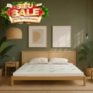 Nệm cao su thiên nhiên Gummi Classic thế hệ mới dày 5/10/15cm