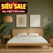 Nệm cao su thiên nhiên Gummi Classic thế hệ mới dày 5/10/15cm