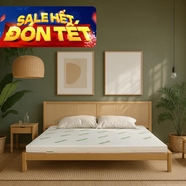 Nệm cao su thiên nhiên Gummi Classic thế hệ mới dày 5/10/15cm