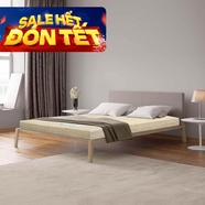 Nệm foam Goodnight Eva gấp 3 nâng đỡ dày 10cm