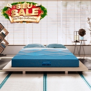 Nệm foam Nhật Bản Aeroflow Pride bảo vệ cột sống dày 22cm