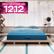 Nệm foam Nhật Bản Aeroflow Pride bảo vệ cột sống dày 22cm