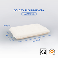 Gối cao su Gummi Evora 100% thiên nhiên massage thoáng khí