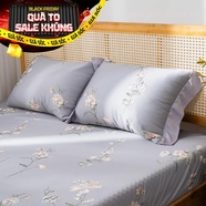 Bộ ga chun Lụa tencel cao cấp Amando Bliss 4 chi tiết mã TC005
