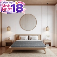 Nệm foam Goodnight Core (Akita) gấp 3 dày 8cm