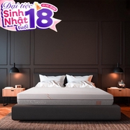 Nệm foam làm mát, kháng khuẩn nâng đỡ 5 vùng Comfy Lux 1.0