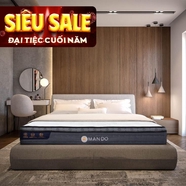 Nệm lò xo túi độc lập Amando Elite Plus giảm tiếng ồn dày 25cm